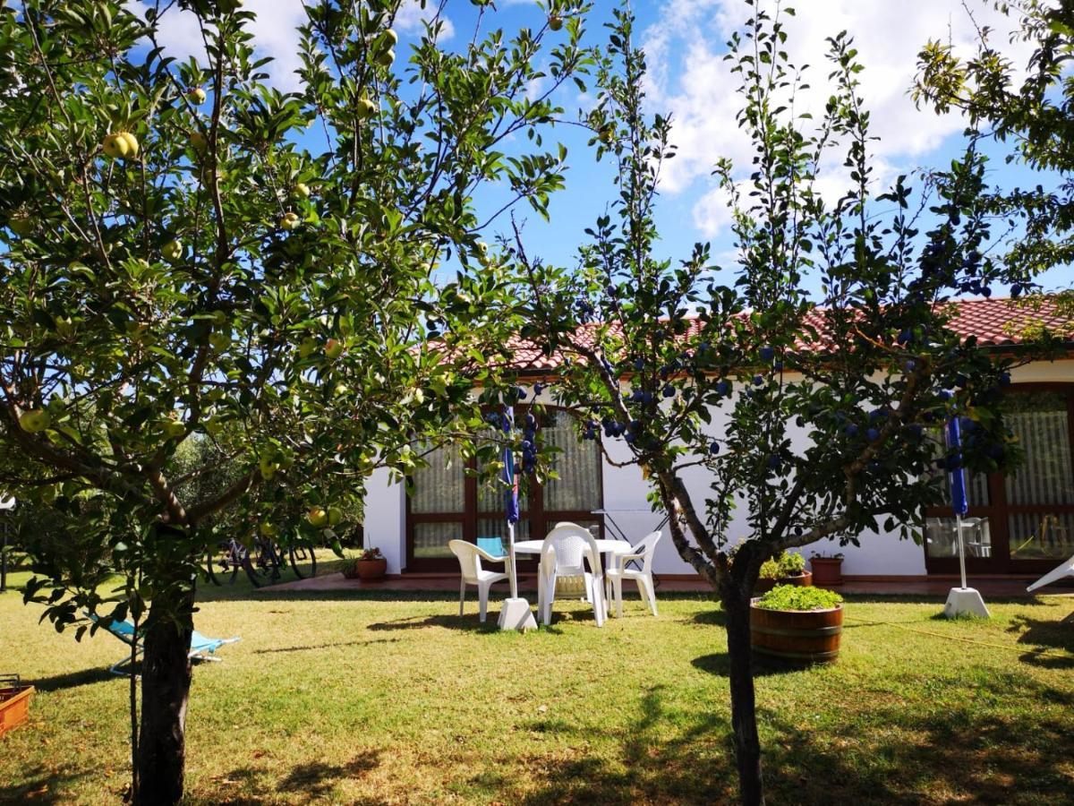 Farm stay Valle Dei Venti