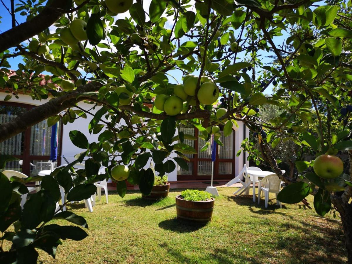 Valle Dei Venti *
