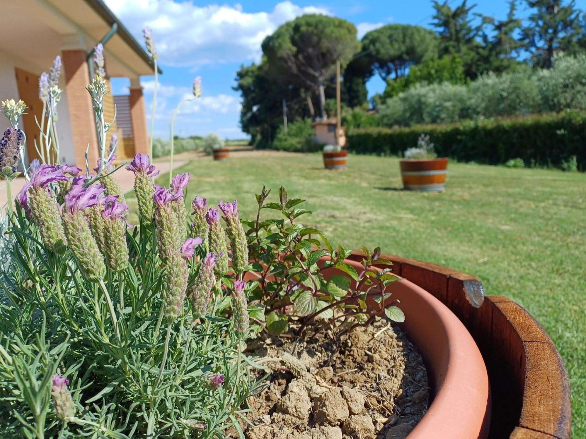 Farm stay Valle Dei Venti *