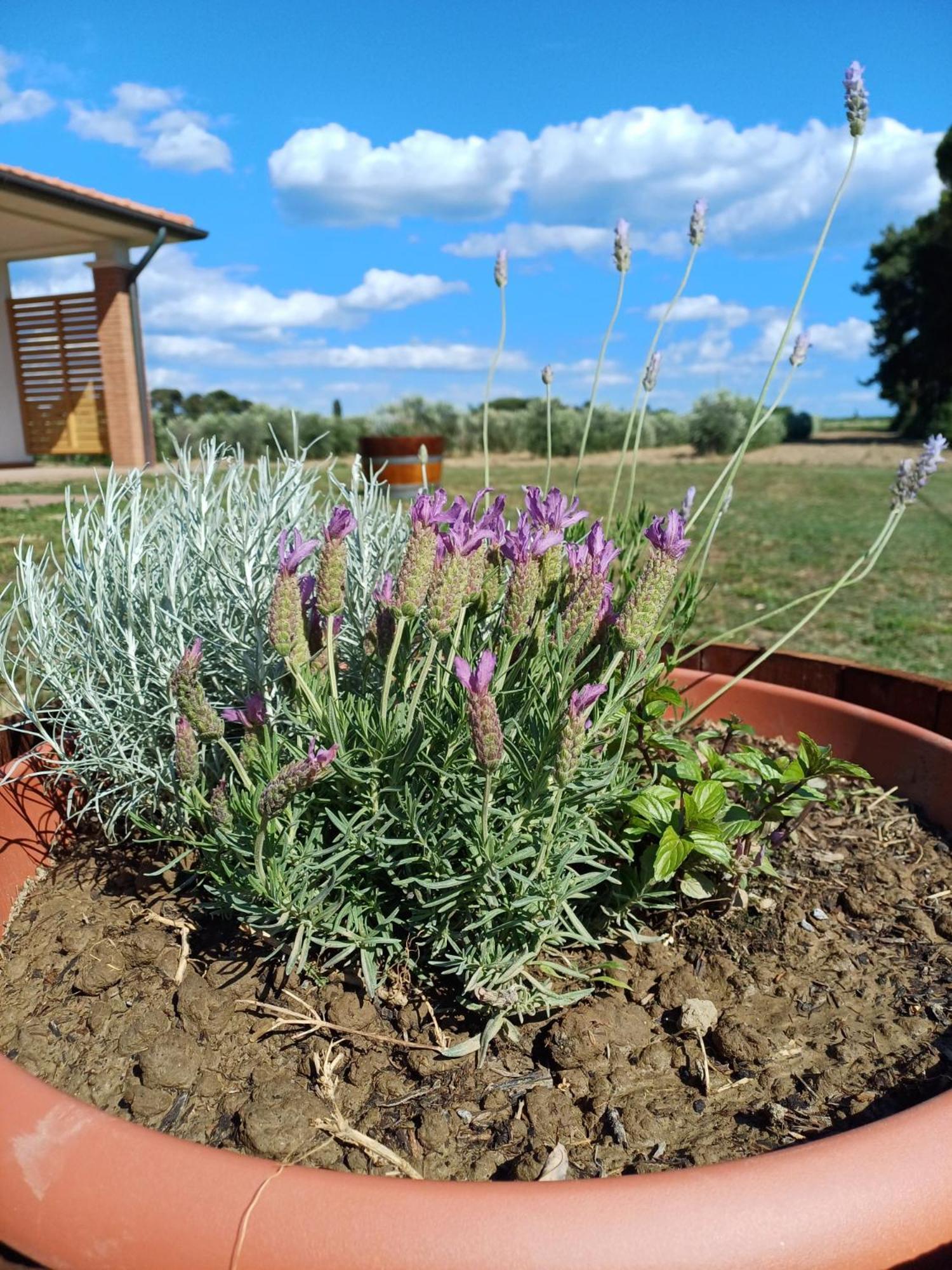Valle Dei Venti Farm stay