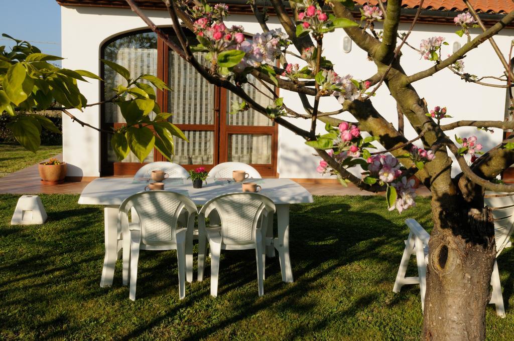 Farm stay Valle Dei Venti Populonia