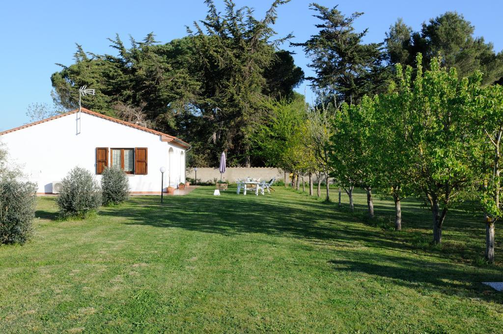 Valle Dei Venti * Populonia